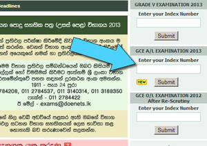 Featured image for G.C.E “A” Level Exam Results Release @ www.Doenets.lk 20 Dec 2013